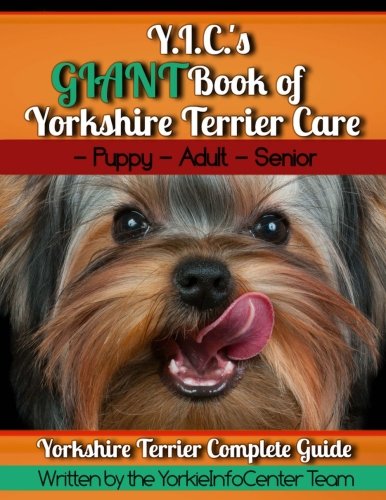Y.I.C's big book of yorkie care by yorkshire terrier care team