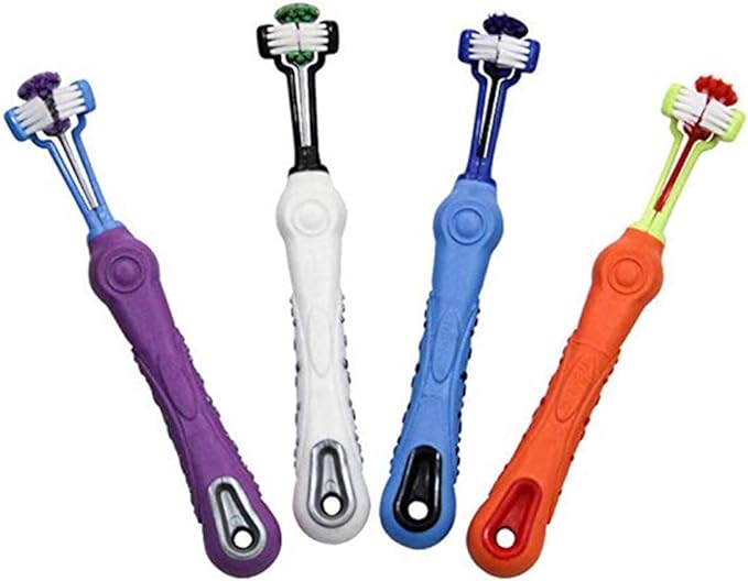 Four colorful toothbrushes lined up, designed for pets with an angled shape for easy brushing
