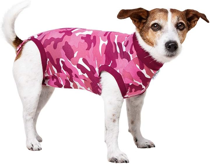 Spay recovery suit