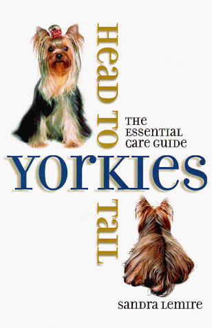 yorkies head to tail