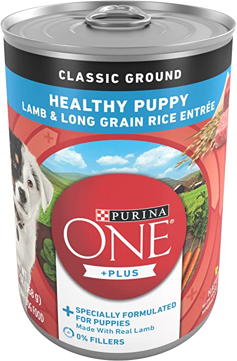 Purina One Plus Classic Ground Dog Food: A nutritious and delicious meal for your furry friend.
