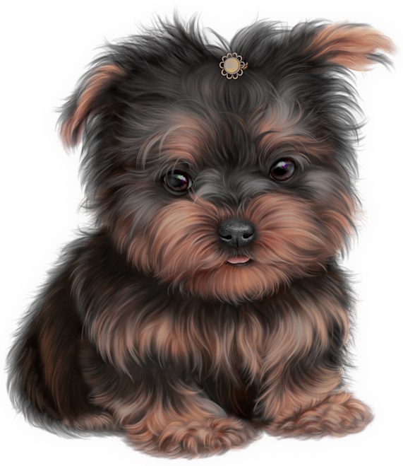 An adorable small dog sitting, showcasing a cute Yorkie graphic with a bow in her hair