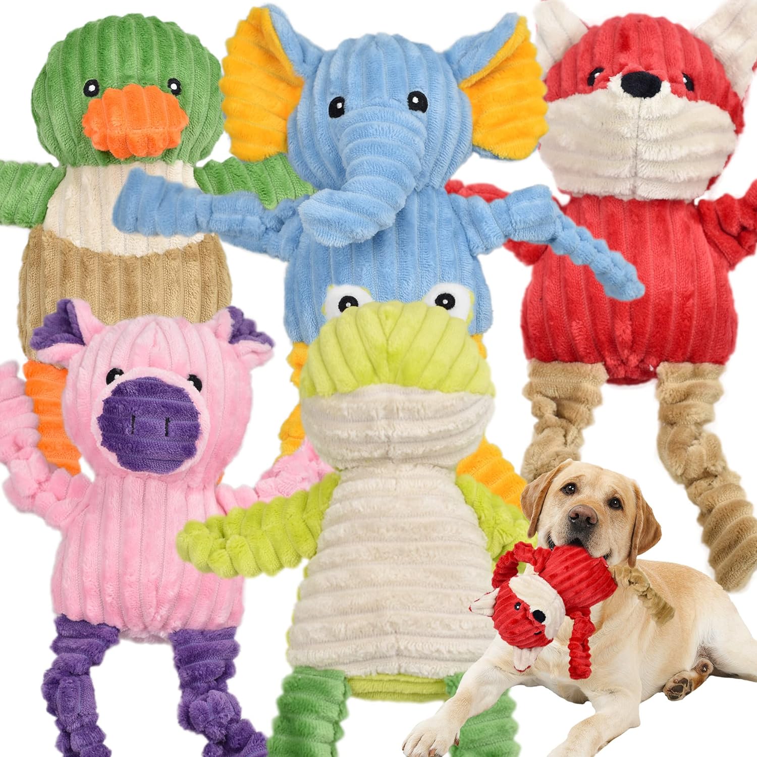5 Pack Tough Squeaky Toys