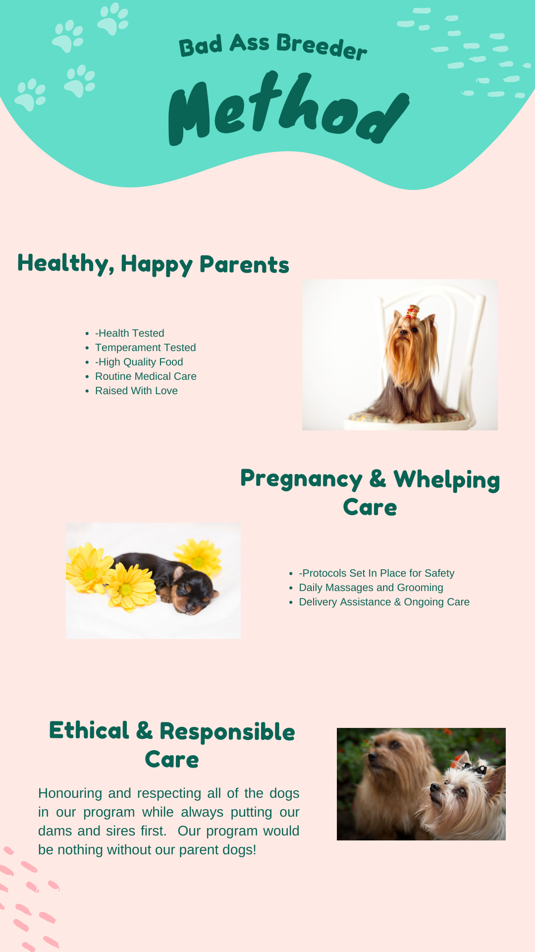 Check out the ultimate dog breeder method infographic! Learn the best techniques with this Bad Ass Breeder Method guide