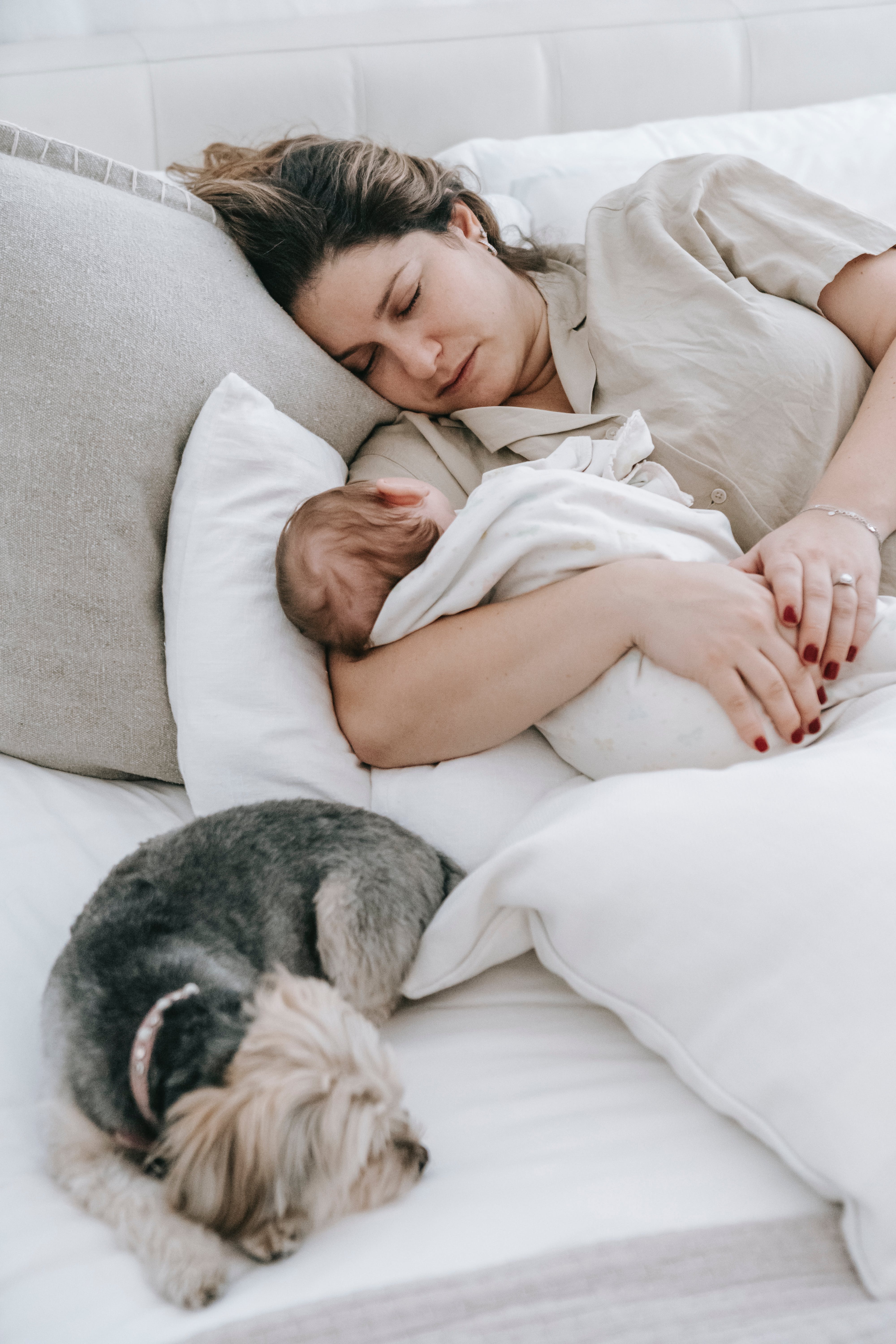 A peaceful scene of a new mom and her baby sleeping soundly on a bed, with a cute yorkie nearby. Soothing moments of rest and love