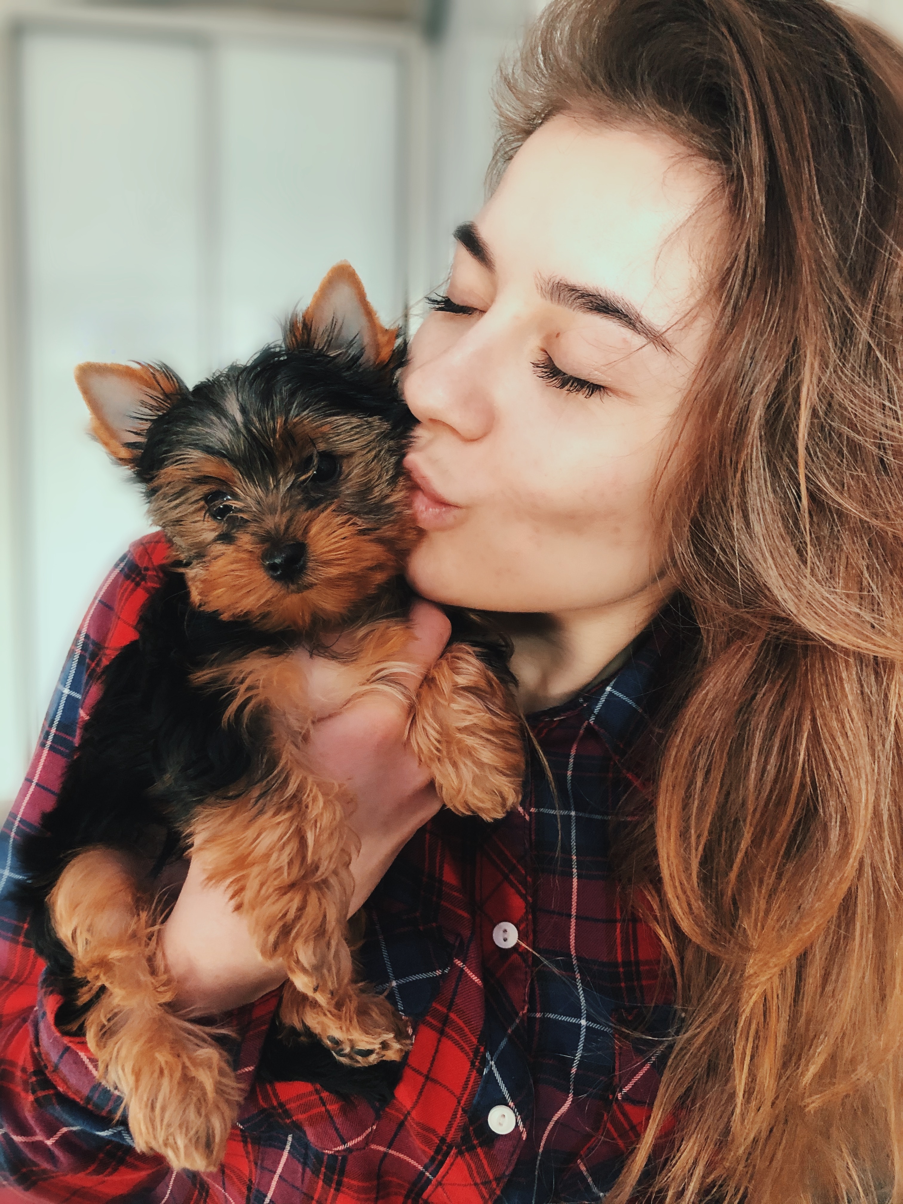 A woman in a plaid shirt cuddling a yorkie puppy with love and tenderness.