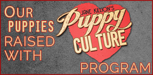 Puppy Culture Program