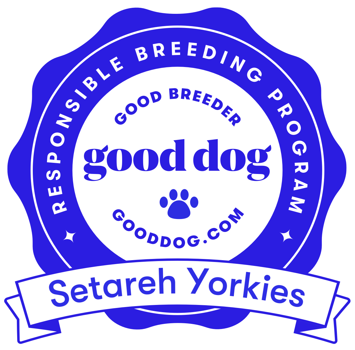 good dog setareh yorkies badge